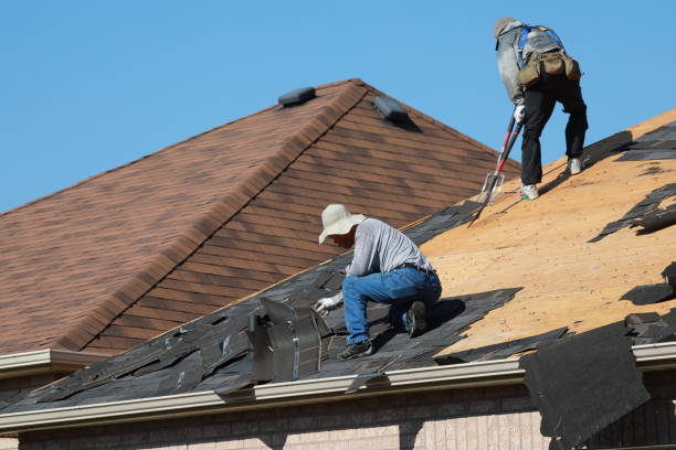 Best Solar Panel Roofing Installation  in Bon Secour, AL