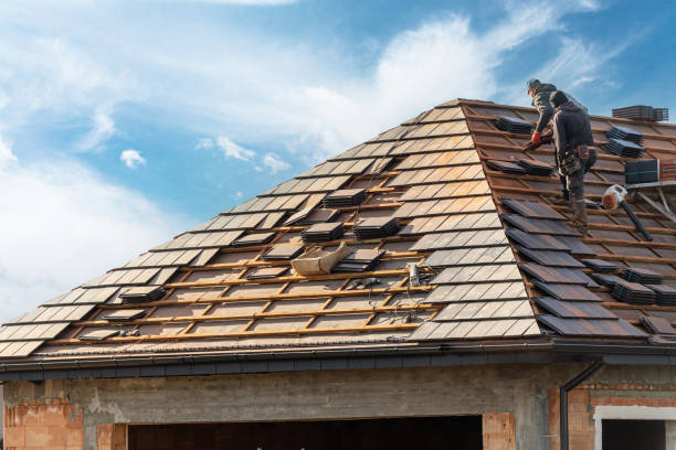 Best Asphalt Shingle Roofing  in Bon Secour, AL