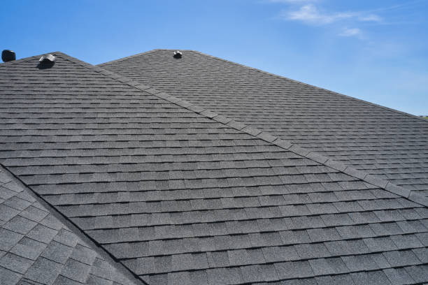 Best Skylight Installation and Repair  in Bon Secour, AL