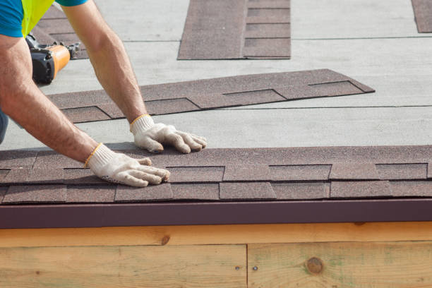 Best Roof Maintenance and Cleaning  in Bon Secour, AL